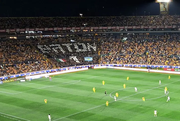 Los Libres y Lokos y su mosaico a Nahuel<br>