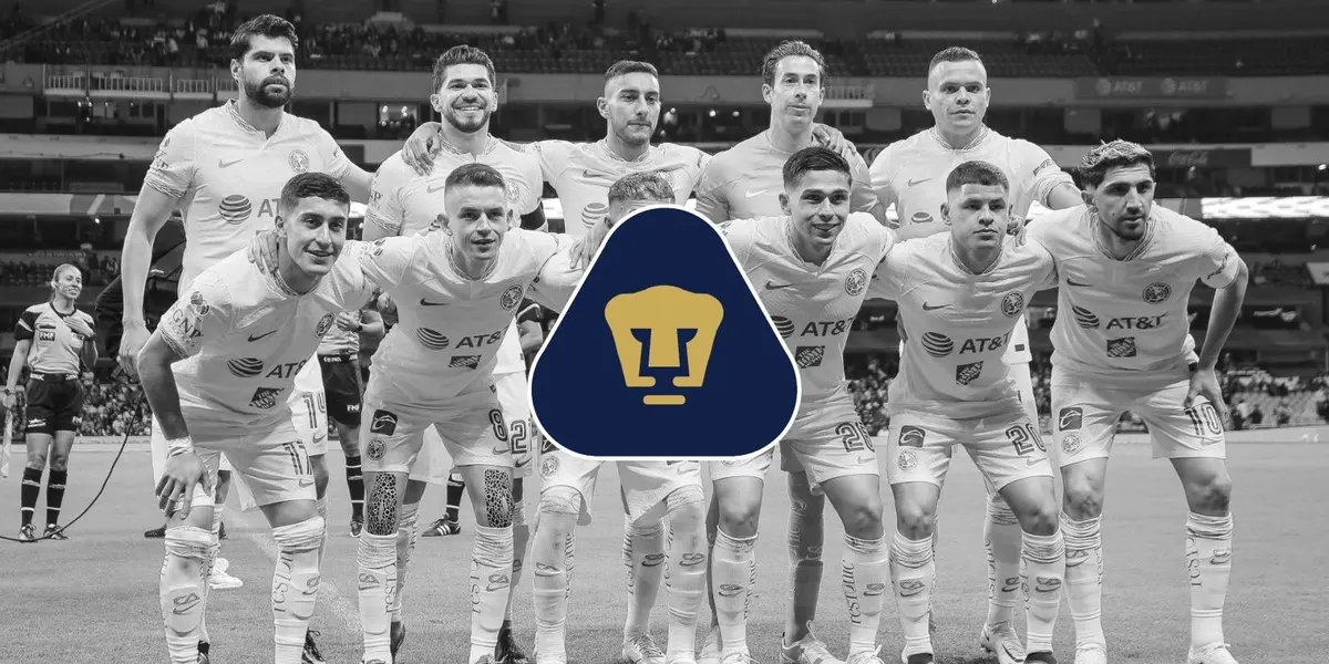 A pesar de lo molesto que puede ser, el karma siempre les termina llegando a los que se burlan de Pums