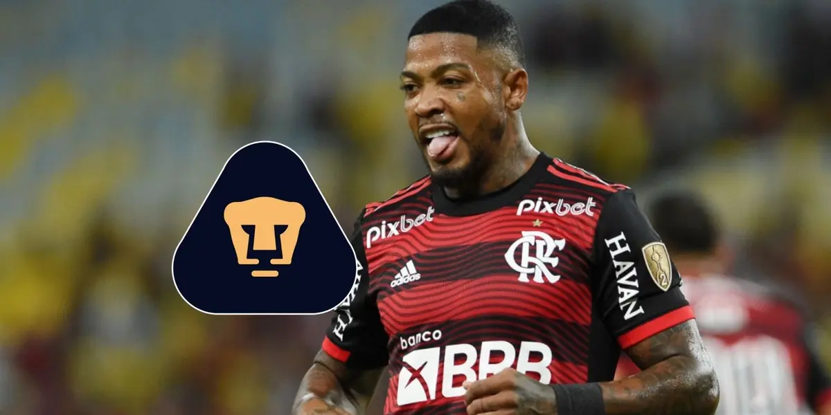 Anteriormente, el club campeón de la Copa Libertadores habría rechazado los 1.5 millones de dólares que Pumas ofreció