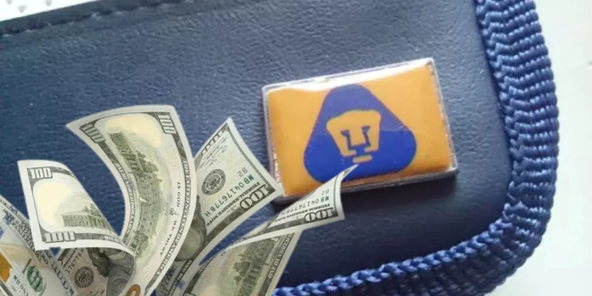 Cartera de Pumas con dolares