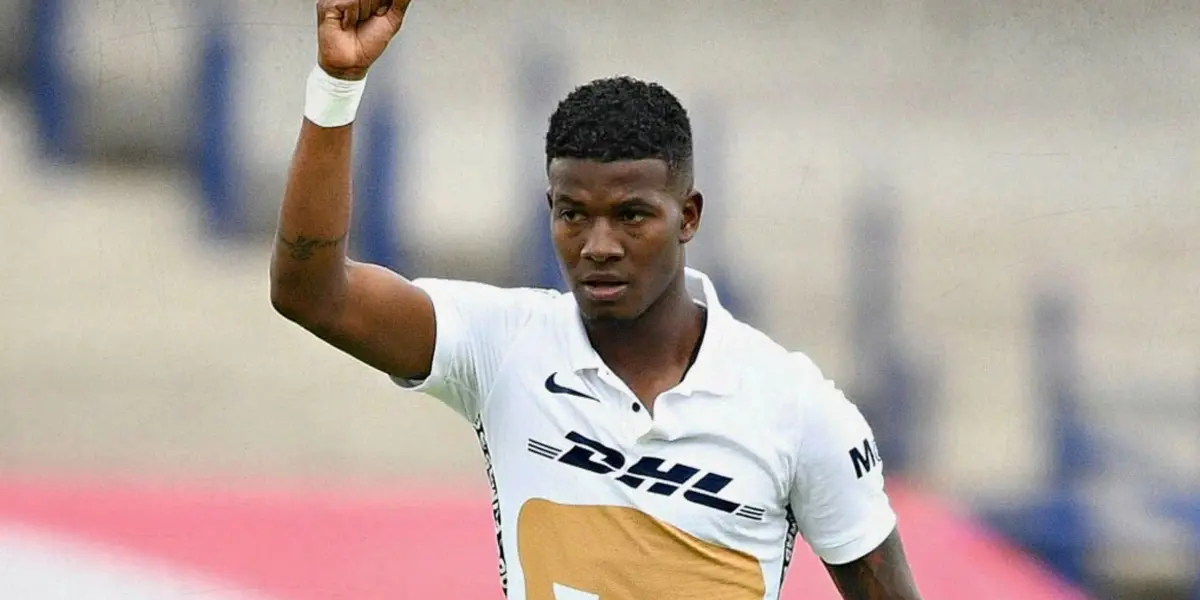 Corozo en el himno de Pumas en el estadio (Fuente: Mexsports)