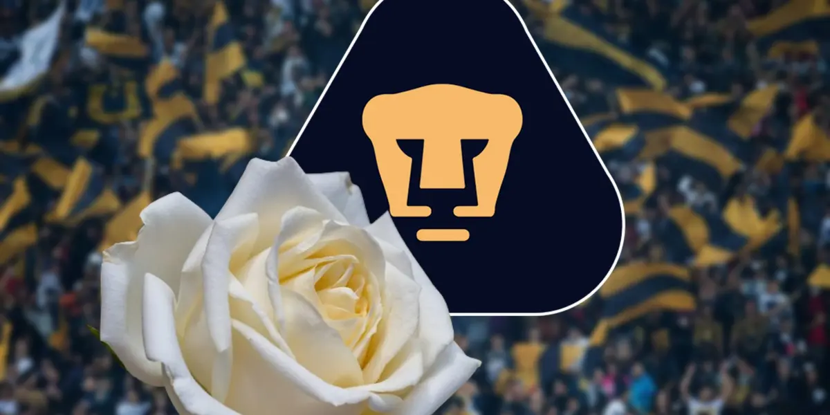 Escudo de Pumas / Foto: Getty Images
