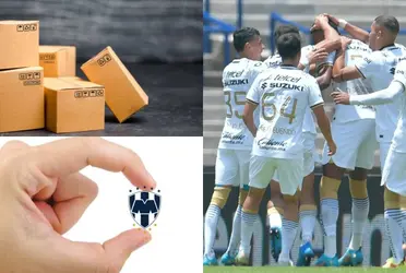 Este puma tuvo un paso desafortunado por el norte, no lo trataron bien