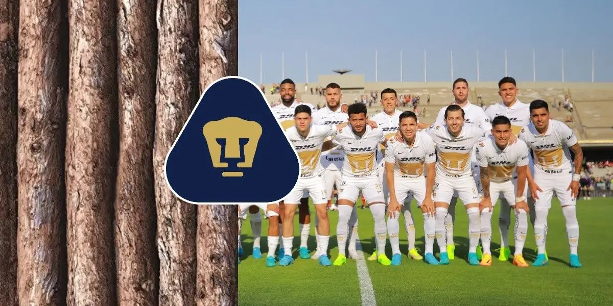Estos jugadores fueron auténticos petardos el torneo pasado y siguen cobrando en Pumas