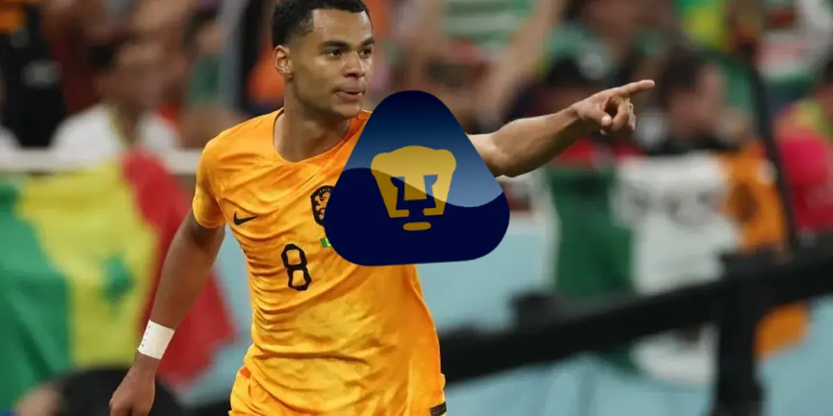 Gapko festeja gol ante Senegal en el Mundial (Fuente: T Y C Sports)