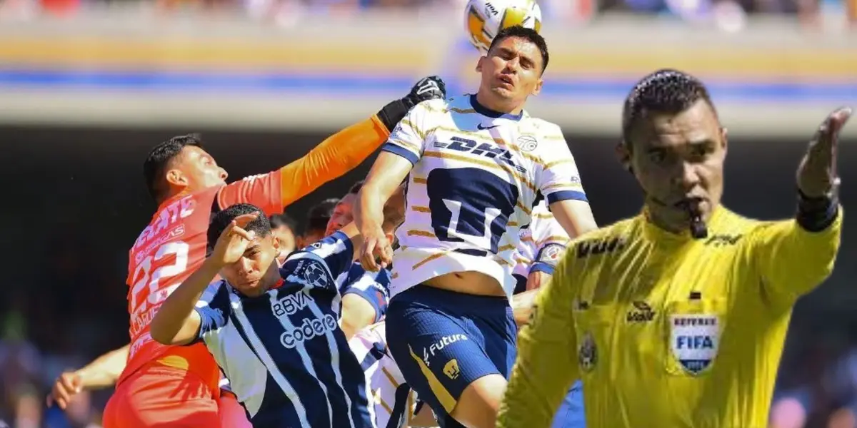 Gato en el Rayados vs Pumas/FOTO: MEXSPORT