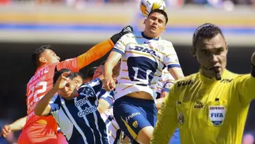 Gato en el Rayados vs Pumas/FOTO: MEXSPORT