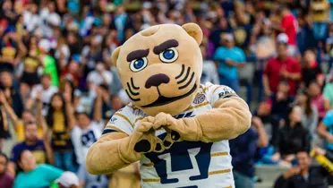 Goyo alienta a la grada / @PumasMX