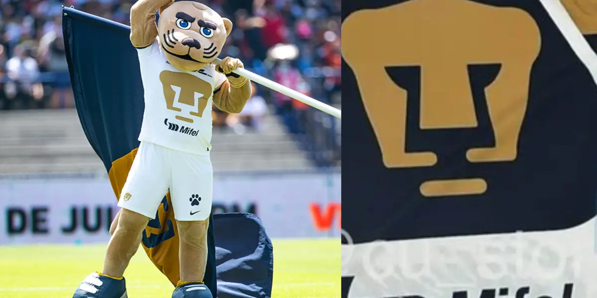 Goyo deja ver playera de los Pumas, a la derecha, la nueva playera (Fuente: Pumas y Gus Store)