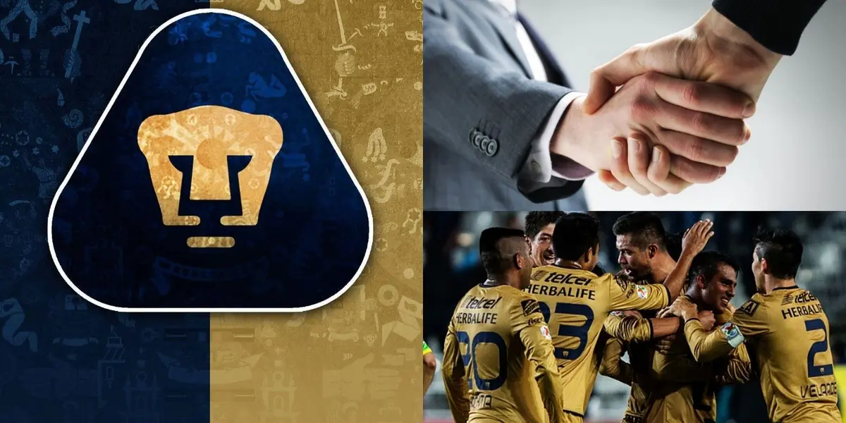 image-1e96628c-ae9f-11ee-be65-56268b9071f5