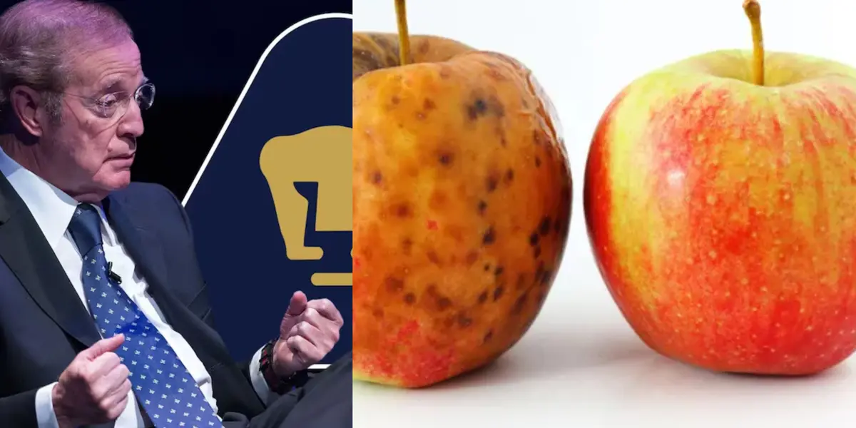 José Ramón Fernández en conferencia, a la derecha, dos manzanas (Fuente: Milenio y Deposit Shop)