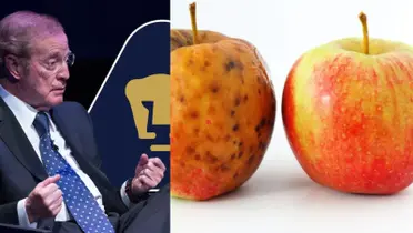 José Ramón Fernández en conferencia, a la derecha, dos manzanas (Fuente: Milenio y Deposit Shop)