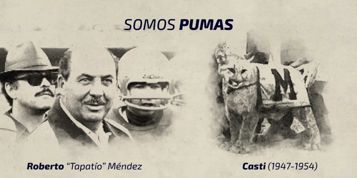 La identidad es algo inherente al Club Universidad / Foto: Pumas, UNAM