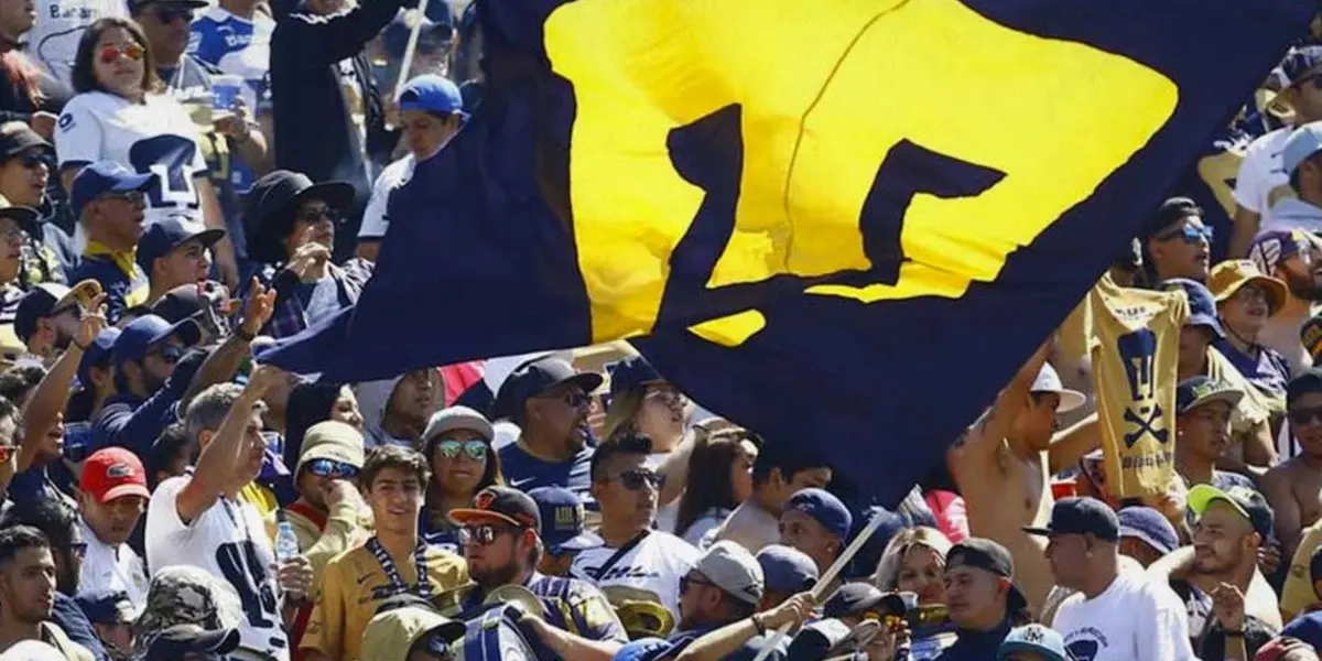 La indumentaria auriazul ha sido vista varias veces en la copa del mundo