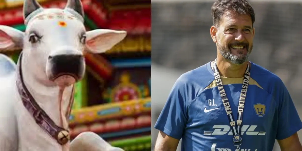 Lema dirigiendo una práctica de los Pumas (Fuente: Agro y Pumas)