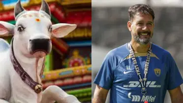 Lema dirigiendo una práctica de los Pumas (Fuente: Agro y Pumas)