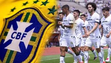 Los Pumas están en busca de un refuerzo para él Apertura 2024