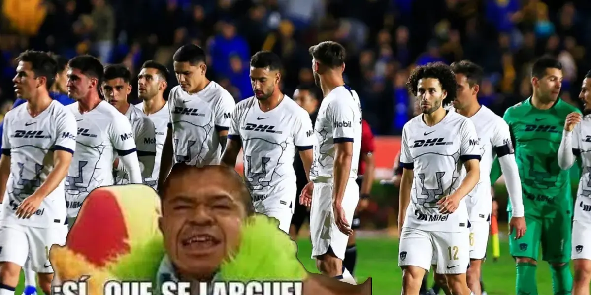 Los Pumas están en plena crisis y hay un jugador que no ha rendido con el cuadro felino