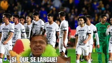 Los Pumas están en plena crisis y hay un jugador que no ha rendido con el cuadro felino