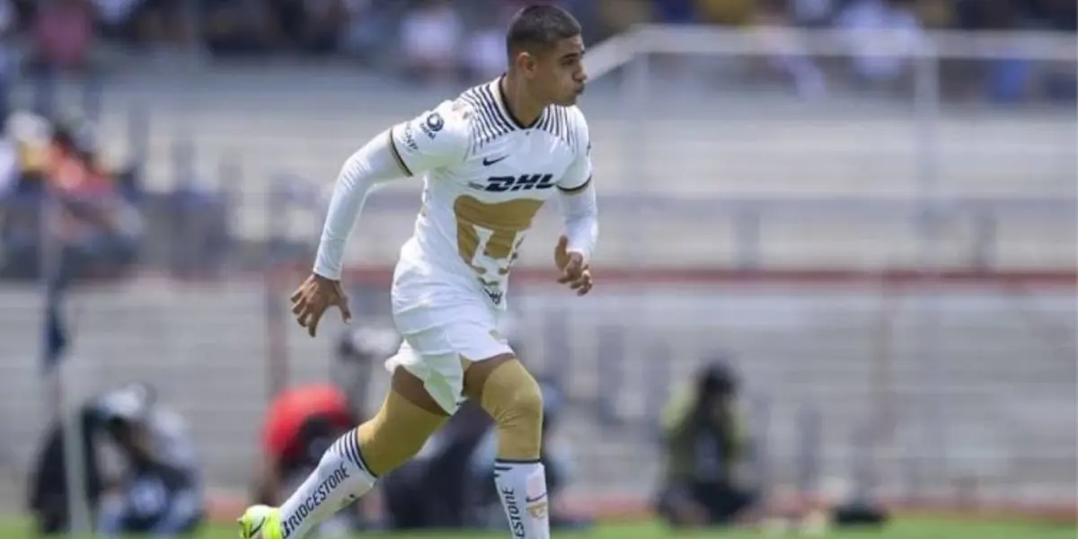 Los Pumas han dejado de lado a sus talentos formados en Cantera