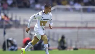 Los Pumas han dejado de lado a sus talentos formados en Cantera