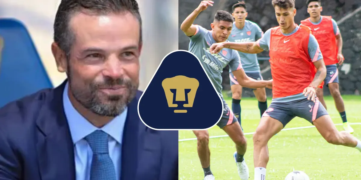 Los Pumas necesitan toda la ayuda posible para ganar en casa, y él podría ser el factor clave