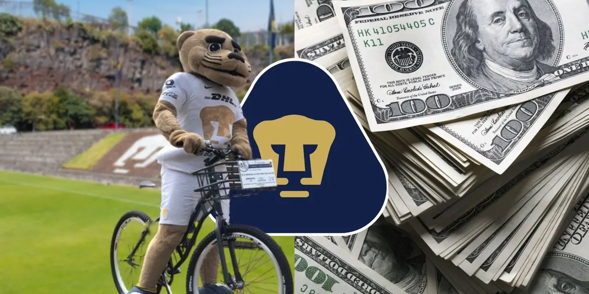 Luego de ser amigable con el medioambiente, el destino le ha regalado una oportunidad en el extranjero