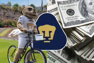 Luego de ser amigable con el medioambiente, el destino le ha regalado una oportunidad en el extranjero