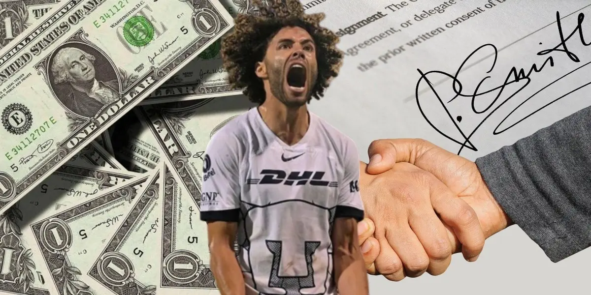 Parece que de a poco lo que era una linda historia de amor se está convirtiendo en pesadilla