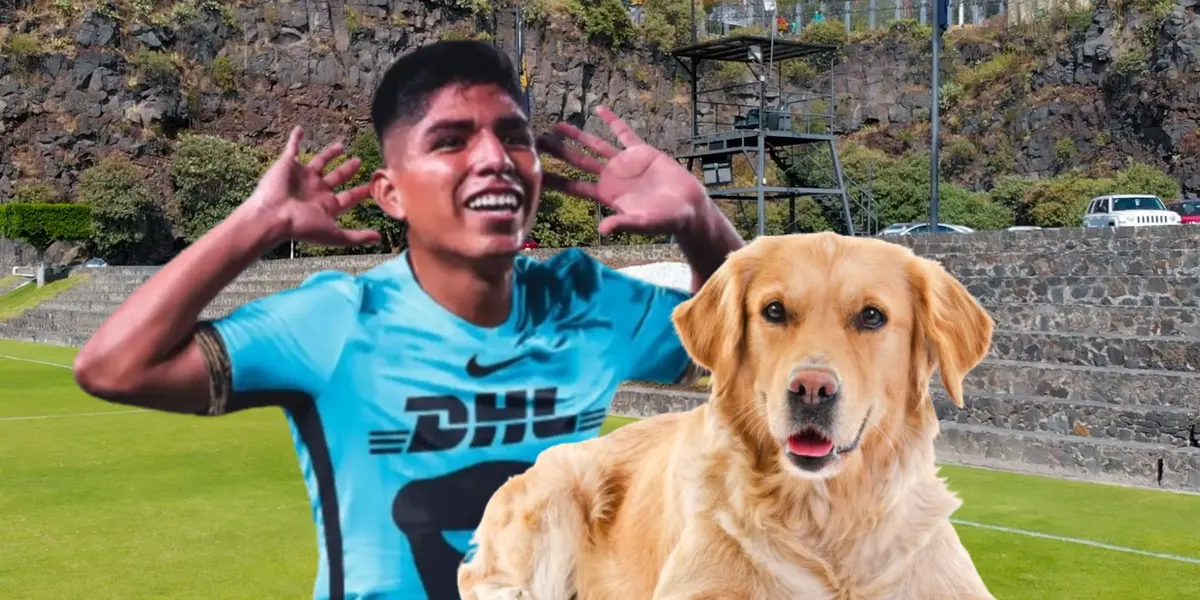 Piero Quispe reveló lo que pasará con su perro