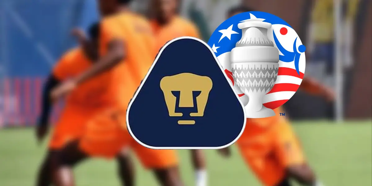 Seleccion Ecuador entrenando / Foto: Marcelo Gallo Oña