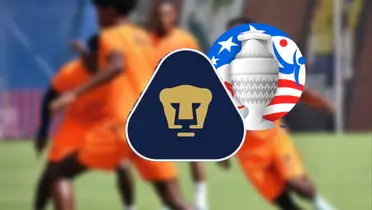 Seleccion Ecuador entrenando / Foto: Marcelo Gallo Oña