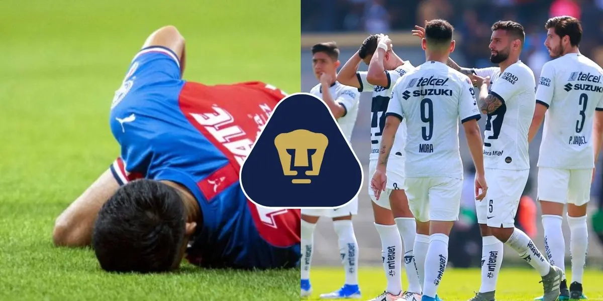 Si un joven mexicano su carrera quiere despegar, ir al rebaño sagrado no es una buena opción