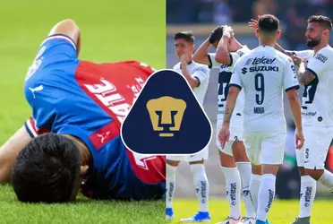 Si un joven mexicano su carrera quiere despegar, ir al rebaño sagrado no es una buena opción