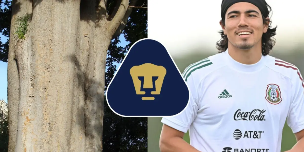 Un jugador nacido en cantera tiene mas talento que el tronco de Gutiérrez