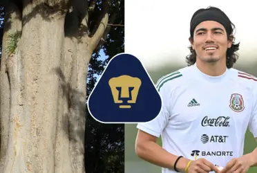 Un jugador nacido en cantera tiene mas talento que el tronco de Gutiérrez