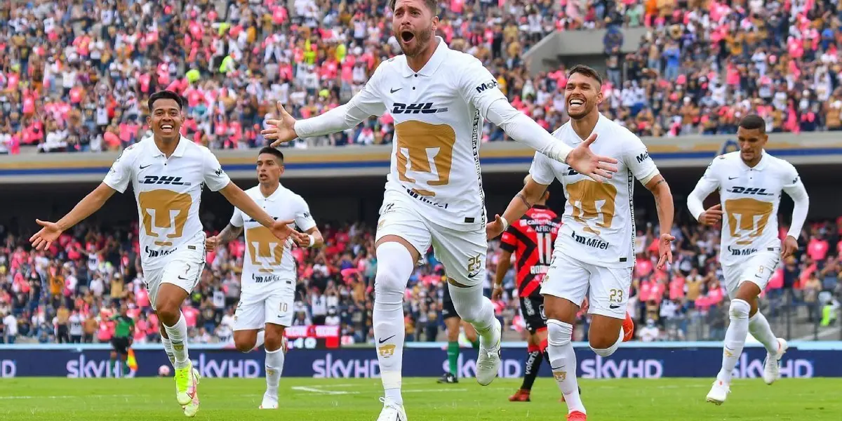 Una dura prueba para los felinos.