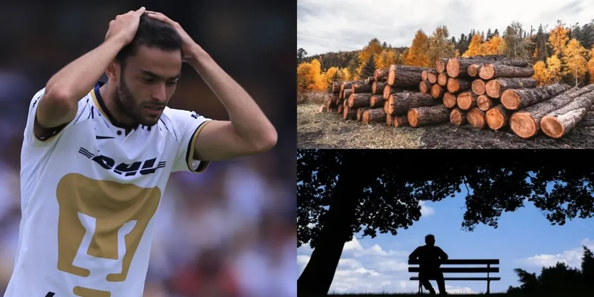 Universidad Nacional podría desprenderse de este jugador