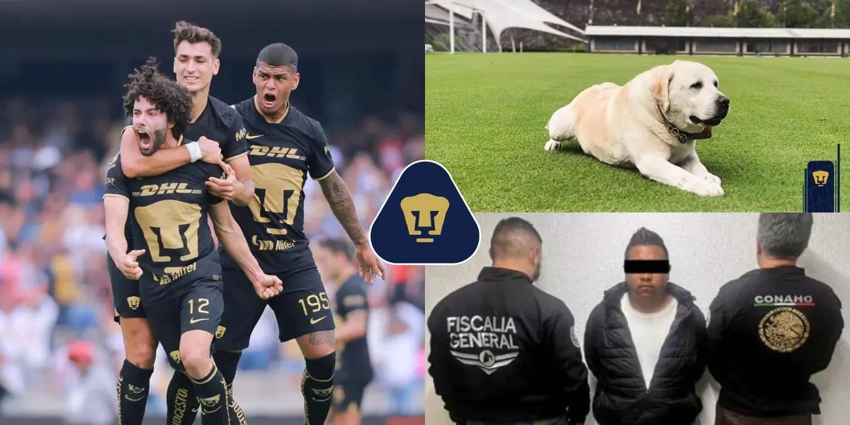 Uno de los momentos más curiosos de Pumas para aligerar el trago amargo por Benito